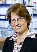 Prof. Dr. Brigitte VOIT
